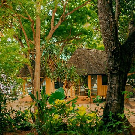 Mikadi Beach Camp & Backpackers Hostel Dar es Salaam Ngoại thất bức ảnh