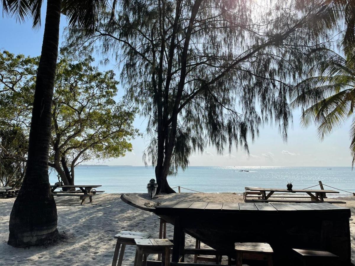 Mikadi Beach Camp & Backpackers Hostel Dar es Salaam Ngoại thất bức ảnh