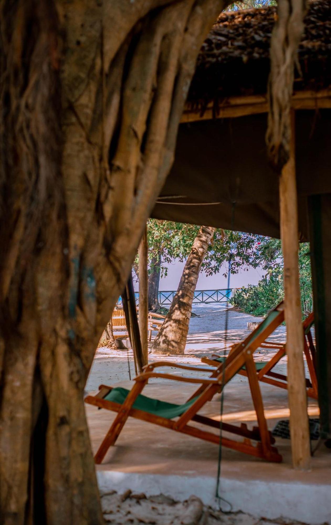 Mikadi Beach Camp & Backpackers Dar es Salaam Ngoại thất bức ảnh