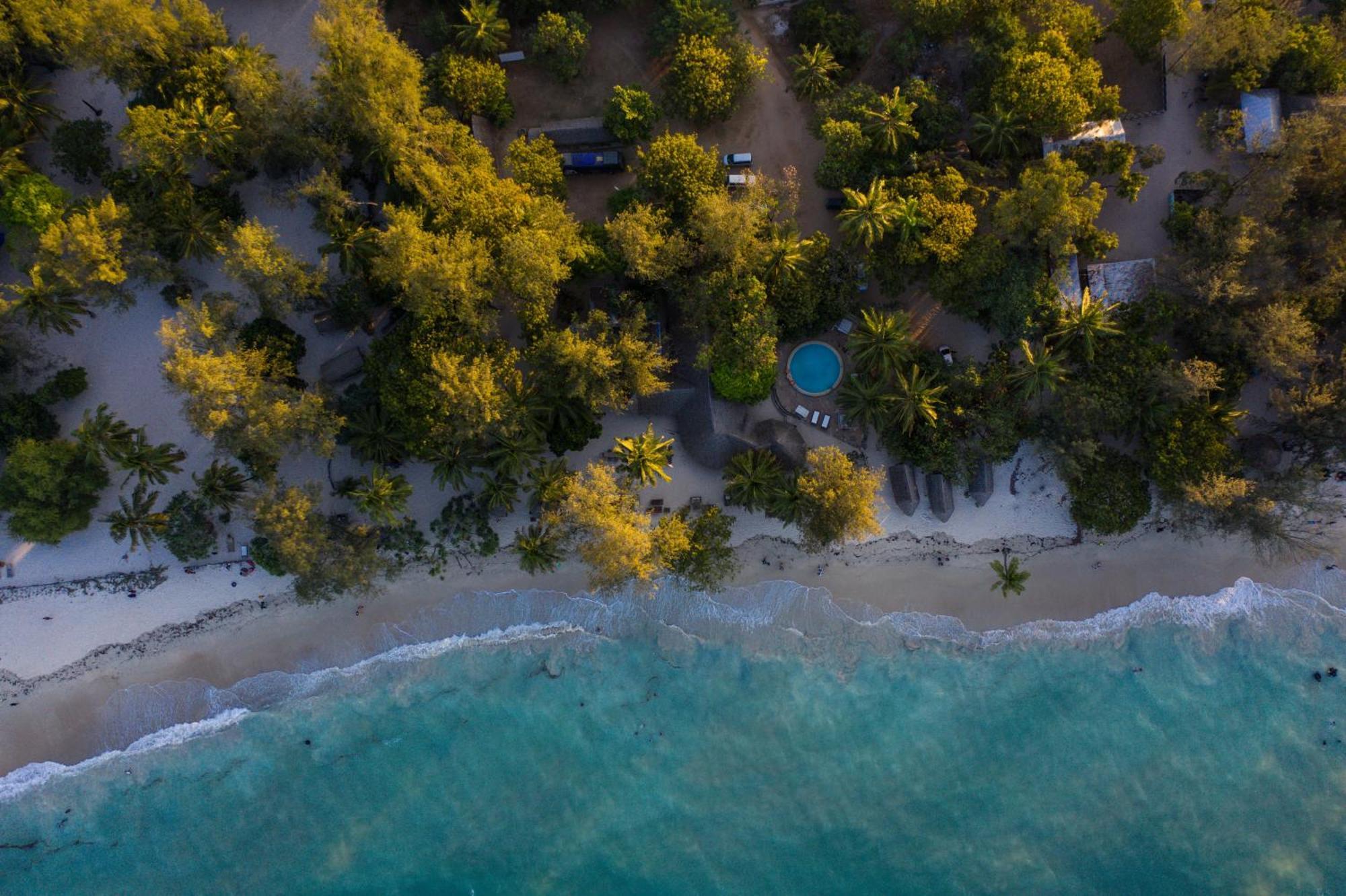 Mikadi Beach Camp & Backpackers Hostel Dar es Salaam Ngoại thất bức ảnh